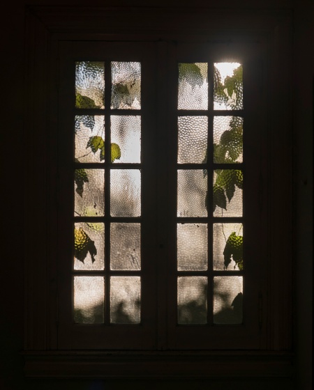 O33-ventana-y-hojas